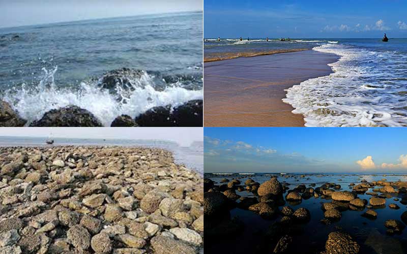 marine fish and biodiversity are at risk due to marine pollution