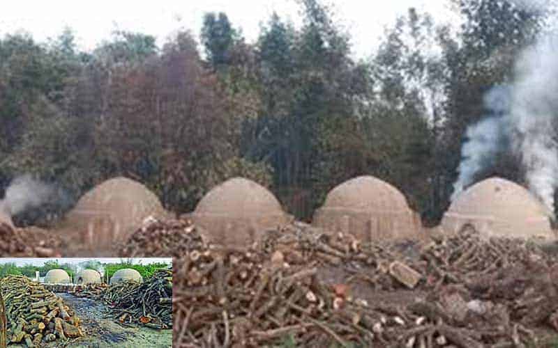 The increasing use of furnaces is polluting the environment The Green Page