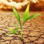 climate diplomacy will face tough challenges in 2023