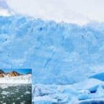two out of three glaciers are likely to disappear by the end of this century