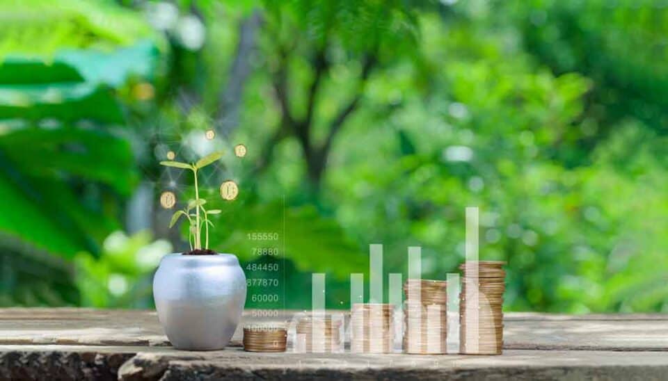 Exploring the Concept of a Green Economy and Its Implications in Bangladesh