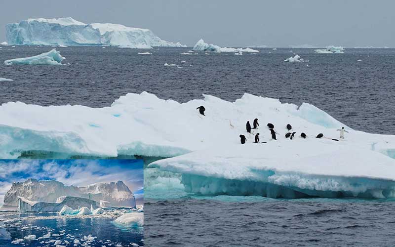a record amount of ice melted in the antarctic ocean in february due to warming