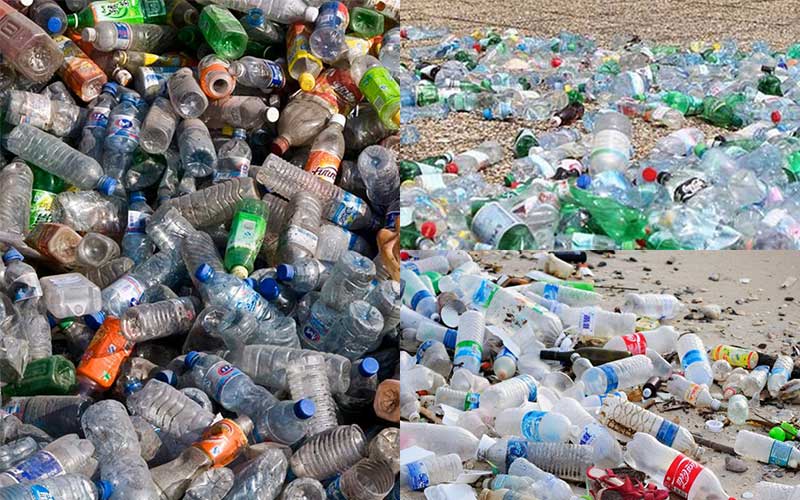 Single-use plastic should stop to protect the environment - The Green Page