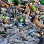 along with polythene, plastic is also harmful to the environment