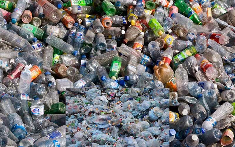 along with polythene, plastic is also harmful to the environment