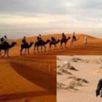 new plan to prevent millions of deaths in middle east heatwave