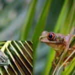 now animals are at the most risk on the earth
