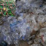 single use plastics should stop to prevent plastic pollution