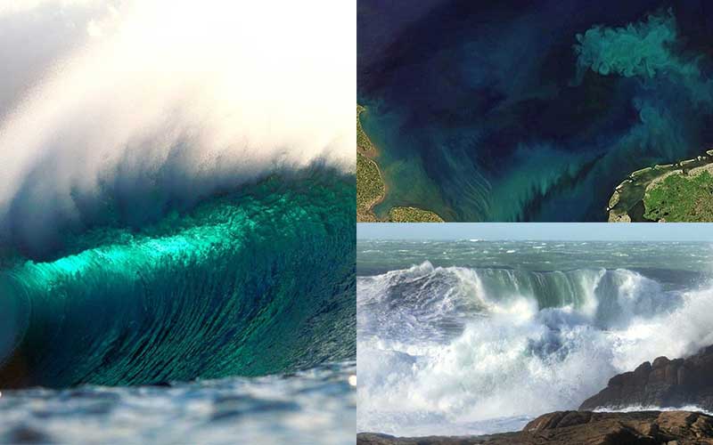 The color of the ocean has changed in the last 20 years - The Green Page