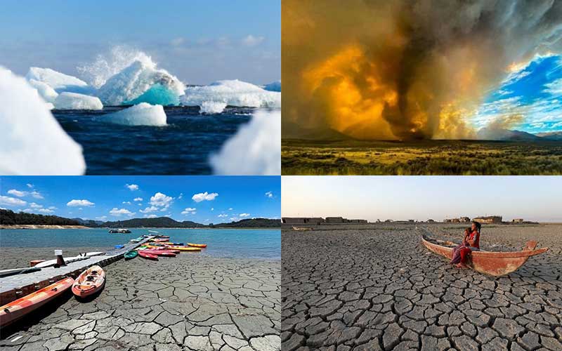 the impacts of climate change and record ocean temperatures are reaching extremes