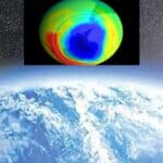 aquatic phytoplankton is harmed by the depletion of the ozone layer