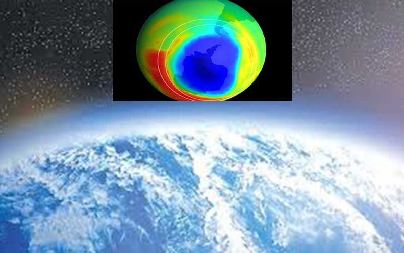 aquatic phytoplankton is harmed by the depletion of the ozone layer