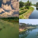 it should ensure a complete list of rivers in bangladesh d to protect the environment.