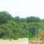 biodiversity and environment should be preserved in bangladesh haor area