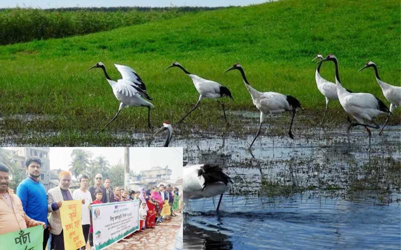 a human chain was held at patharghata, barguna, bangladesh, to demand saving the wetlands