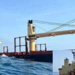 the environment of the red sea is facing disaster