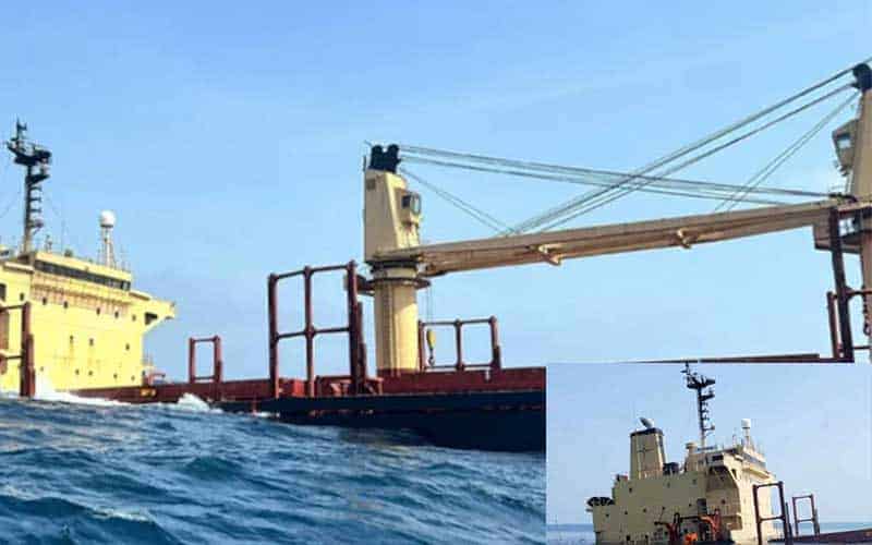 the environment of the red sea is facing disaster