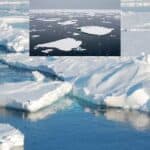the north pole is at risk of becoming ice free within the next decade