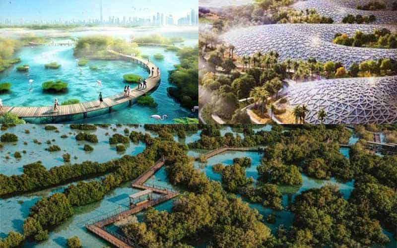 dubai will plant 100 million trees to protect the environment  