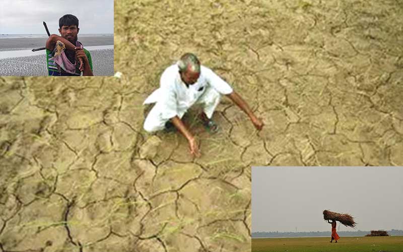 due to the lack of vegetation and wetlands, the temperature of dhaka is high