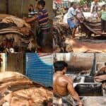 leather industries in bangladesh to be eco friendly to save it, environment minister of bangladesh