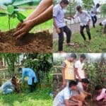  plantation is essential to protect the environment