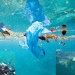 the fight against plastic pollution has been going on worldwide for a long time
