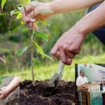 urban forestry project will be implemented in dhaka to reduce temperature, environment minister of bangladesh