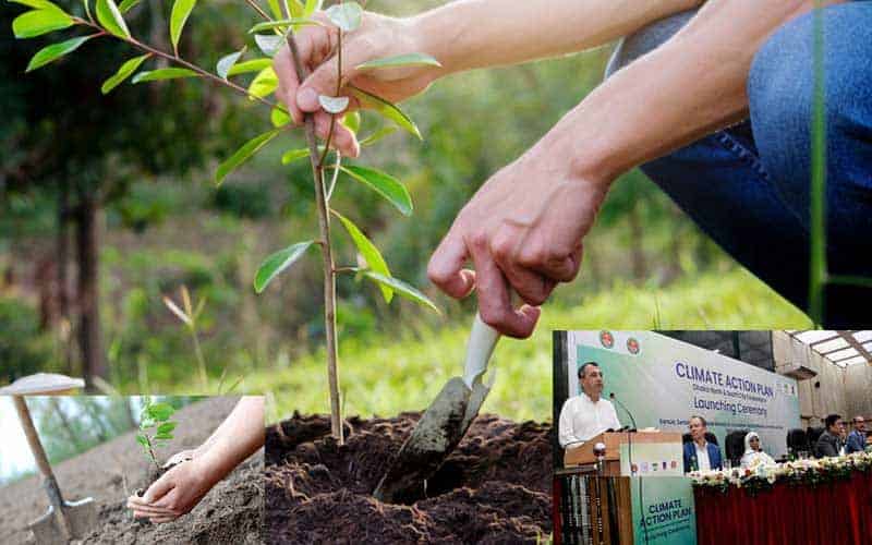 urban forestry project will be implemented in dhaka to reduce temperature, environment minister of bangladesh