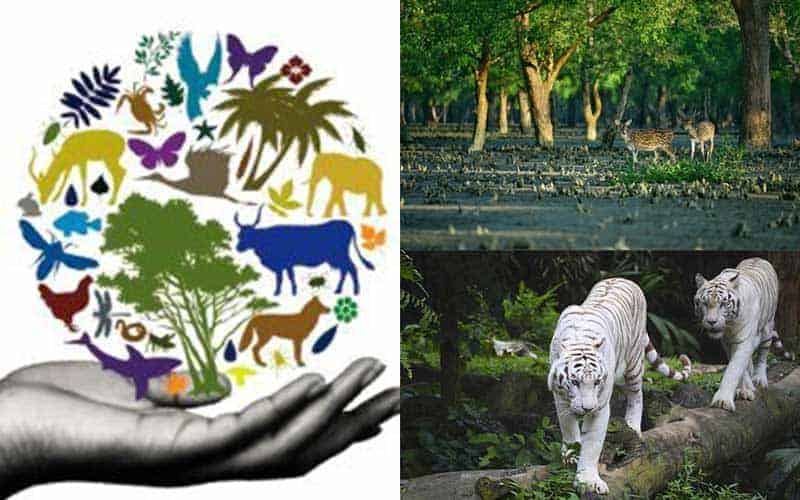 bangladesh is working to conserve biodiversity, environment minister of bangladesh