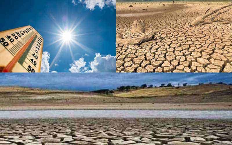 desertification is occurring in an area of 2 sq. km in the world every year ,on what way in bangladesh,