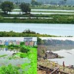 now, wetland biodiversity in dhaaka is at critical risk