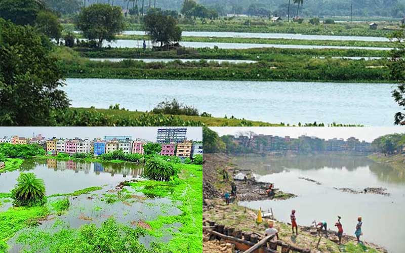now, wetland biodiversity in dhaaka is at critical risk