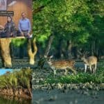 bangladesh and germany signed two agreements to protect the sundarbans
