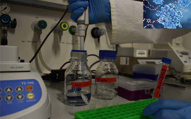 enzymes the solution to the plastic waste dilemma