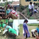 role of youth in environment protection
