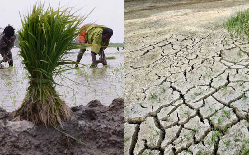 seasons are gradually changing in bangladesh, increase heatwave