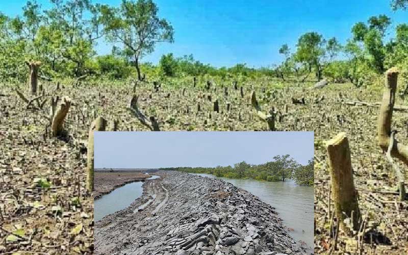 legal notice to protect sonadia island a declared eca in bangladesh