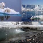 the world is threatened by increasing warming