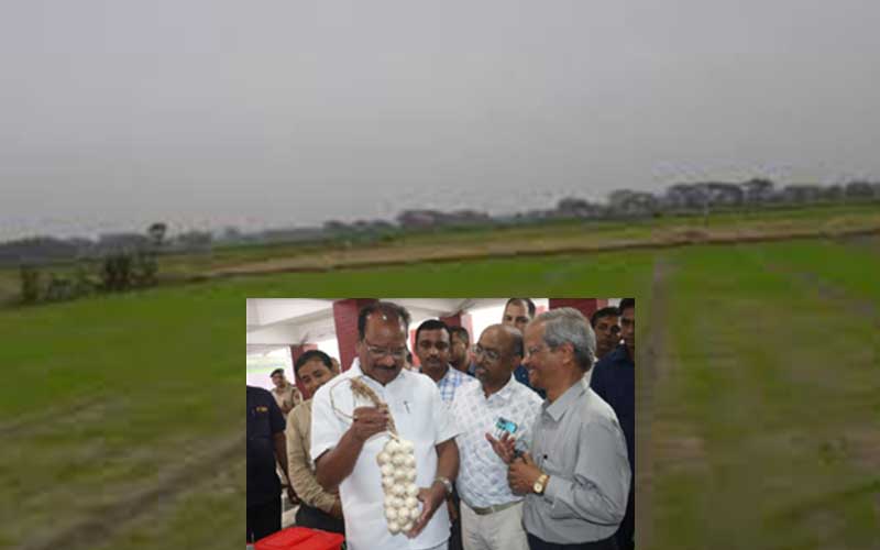 eco friendly farming, boosting crop yields with cutting edge technology