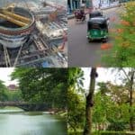 greening should be increased to protect the environment, environment advisor of bangladesh