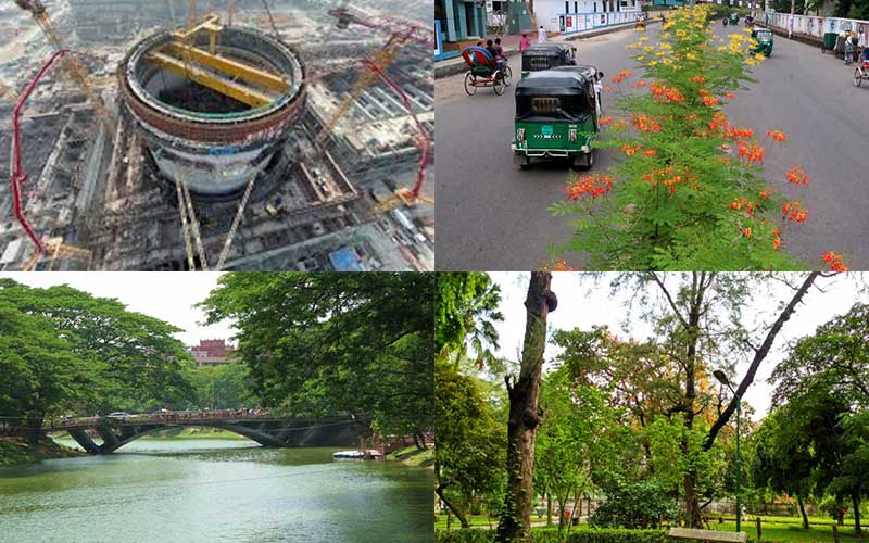 greening should be increased to protect the environment, environment advisor of bangladesh