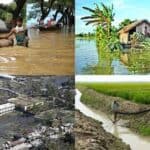 due to climate change, nature is losing its natural diversity