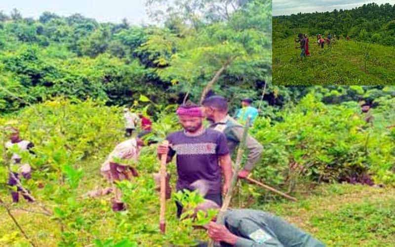 forest rescue operation in the country to continue to protect the environment, environment advisor of bangladesh