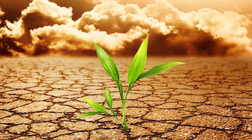 agriculture and biodiversity at risk due to global warming