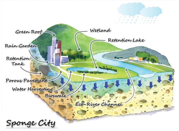 can the sponge city concept be a sustainable solution for water management in dhaka