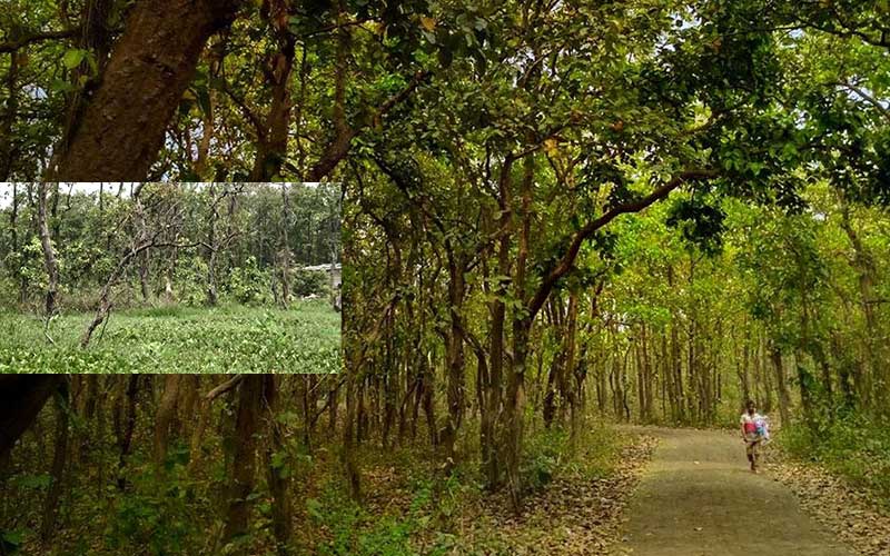 gazipur at bangladesh is facing an environmental disaster due to urbanization and industrialization