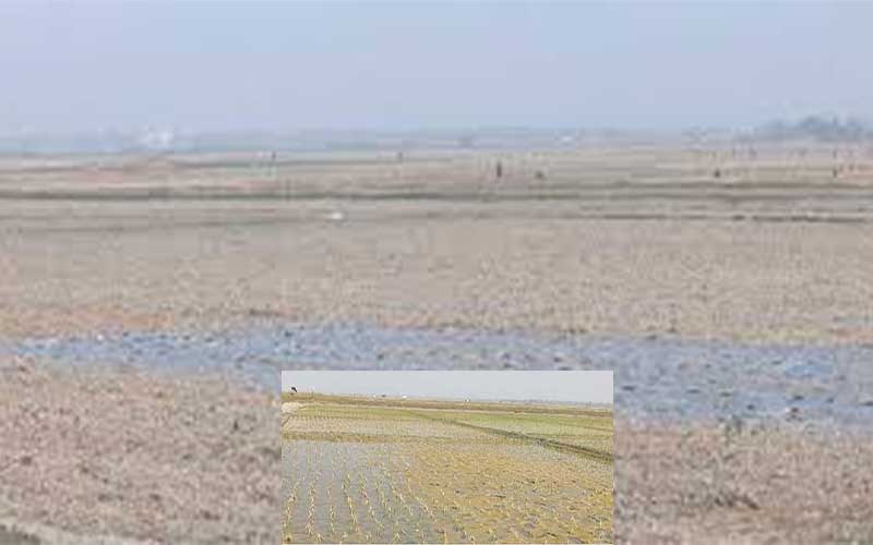 salinity in agricultural land in bangladesh, has increased 6 times due to climate change