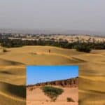 the great indian desert is turning green