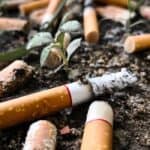"Gyan-Pragya" demands an immediate ban on cigarette filters and vaporizers.